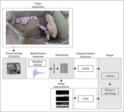 Automatic monitoring and detection of tail-biting behavior in groups of pigs using video-based deep learning methods